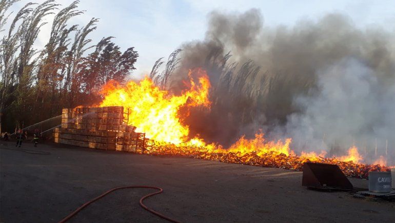 En un incendio se quemaron unos 1.200 bins en San Patricio del Chañar