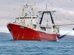 Organizaciones civiles piden al Consejo Federal Pesquero un registro abierto de embarcaciones y permisos. Organizaciones civiles piden al Consejo Federal Pesquero un registro abierto de embarcaciones y permisos.