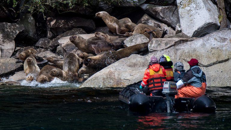 La Patagonia chilena, un gran campo de investigación