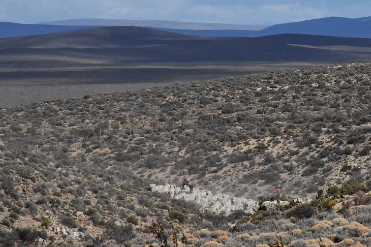 Hacer maíz en suelo patagónico: el desafío genético contra el viento, el frío y la nieve. Hacer maíz en suelo patagónico: el desafío genético contra el viento, el frío y la nieve.