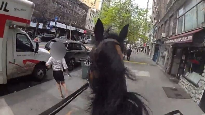 Según la Policía de Nueva York, la sospechosa le arrebató un bolso a una mujer mayor | LM Neuquen Según la Policía de Nueva York, la sospechosa le arrebató un bolso a una mujer mayor