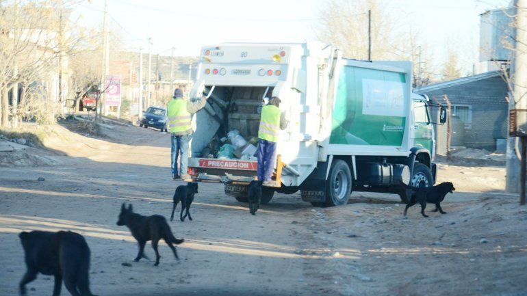 Buscan un servicio de recolección de residuos más eficiente.