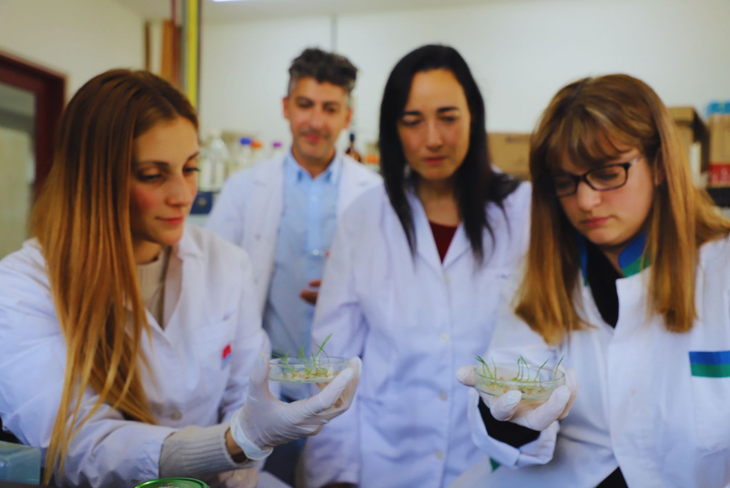 Con este nuevo enfoque se buscan mejoras agronómicas demandadas por los productores. Foto: INTA Con este nuevo enfoque se buscan mejoras agronómicas demandadas por los productores. Foto: INTA