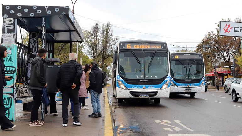 Paro de colectivos en todo el país: la decisión de la UTA en Neuquén