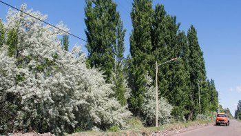 denuncian por estafa a un supuesto club de campo denuncian por estafa a un supuesto club de campo