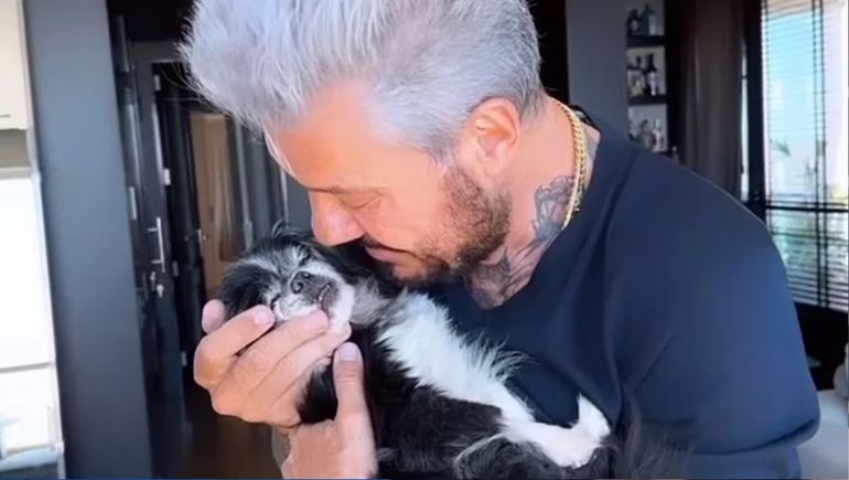 Marcelo Tinelli despidió a París, su perrita de 18 años, con fotos y un texto conmovedor