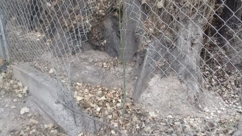 Rompieron el cerco de una escuela y entraron a robar una casa