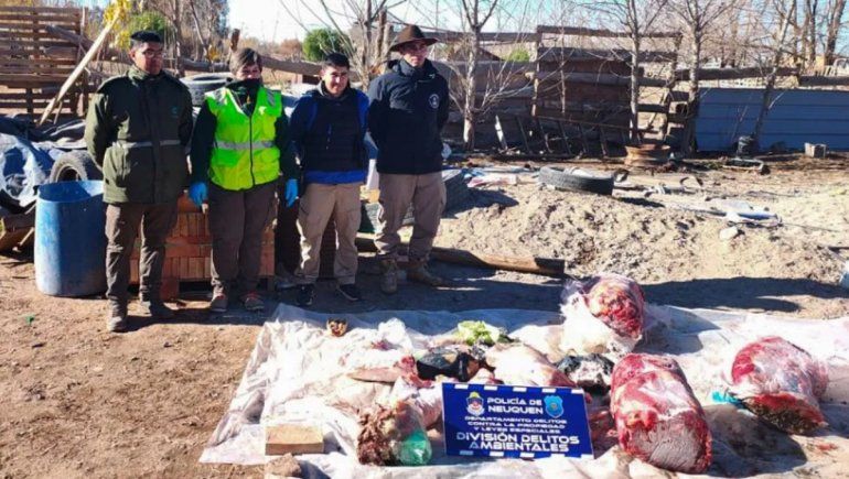 Faenaba carne de caballo para abaratar costos en una casa de comidas
