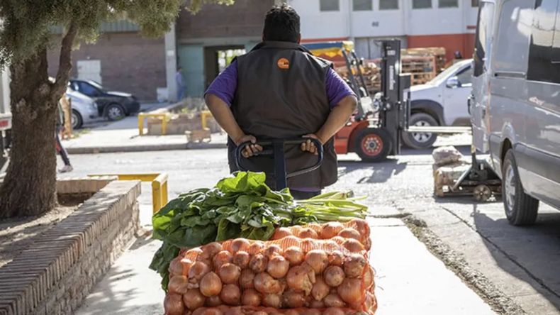 El Mercado Concentrador del Neuquén modificará su horario de atención | LM Neuquen El Mercado Concentrador del Neuquén modificará su horario de atención