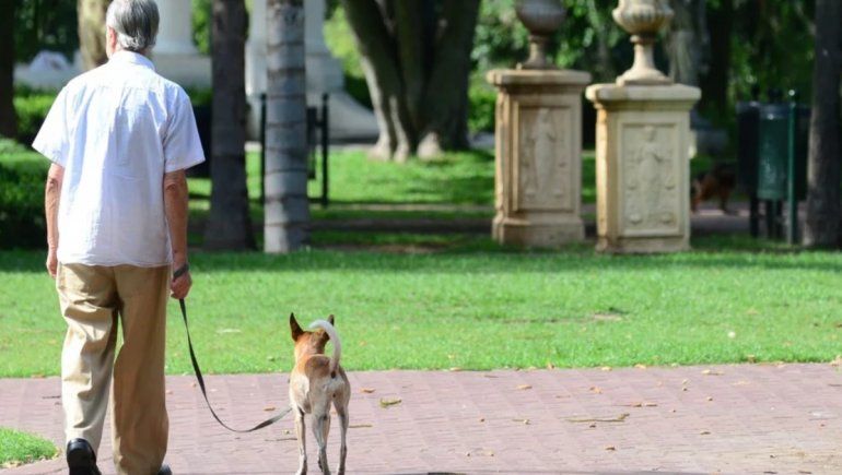Hay ocho mil voluntarios para hacer las compras a los mayores