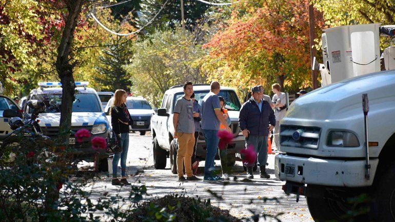 Tragedia en San Martín: podaba un árbol y fue aplastado por un tronco