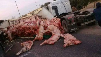 En auto, en bicicleta y hasta en los hombros trasladaron la carne.