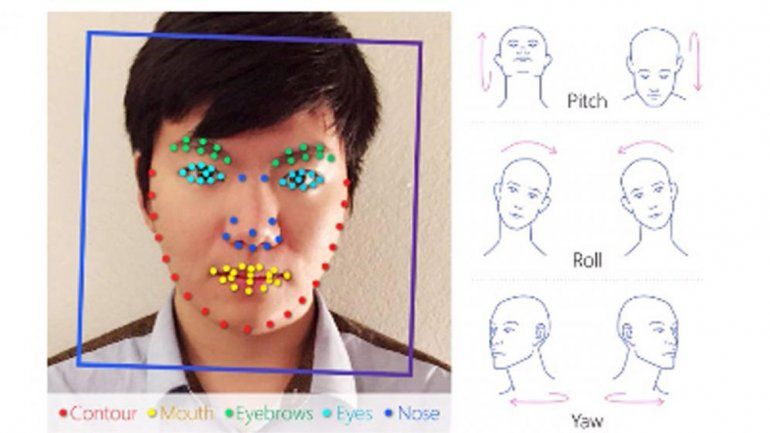 El estudio fue llevado a cabo desde la Universidad de Standford (EE.UU.).