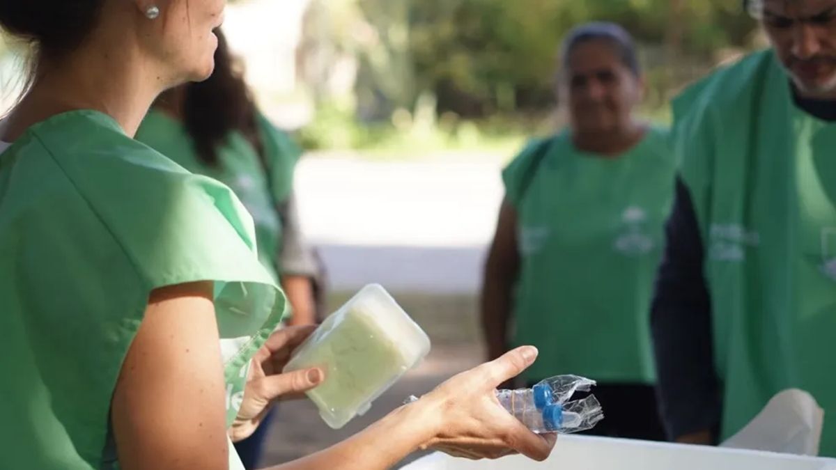 Salud reforzó la prevención contra el dengue: encontraron huevos del mosquito en el este de Neuquén