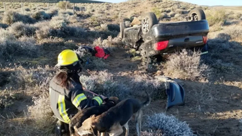 fuerte vuelco en piedra del aguila: emotivo rescate de dos personas y sus perros fuerte vuelco en piedra del aguila: emotivo rescate de dos personas y sus perros