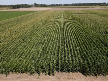 El funcionario vinculó el futuro productivo de la Patagonia con el desarrollo del riego, la llegada de capitales y una mayor apertura económica para el sector agropecuario.