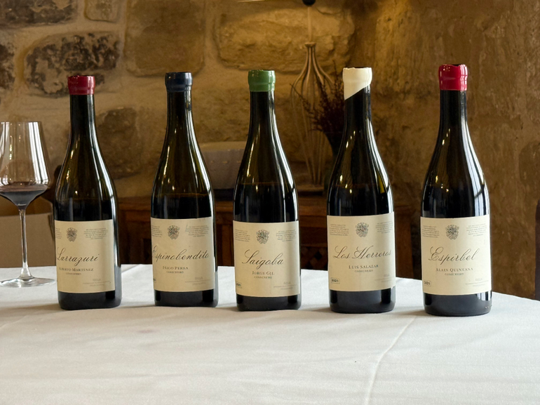 Cómo salvar las viñas viejas en tiempos de crisis del vino