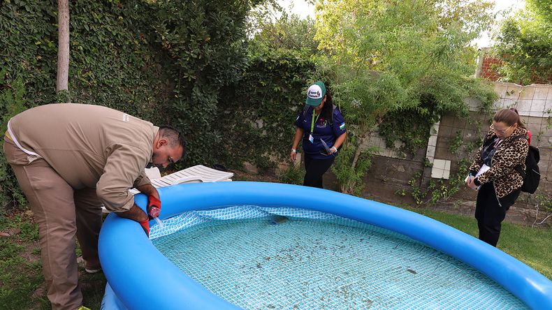 Control de mosquitos transmisores de dengue. | LM Neuquen Control de mosquitos transmisores de dengue.