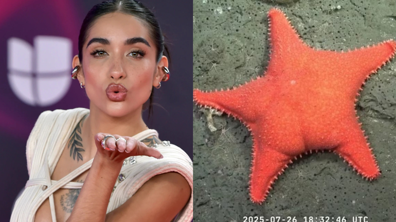 María Becerra y la estrella de mar culona&nbsp;