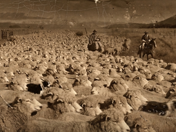 En una Patagonia desierta y olvidada, un inmigrante construyó un imperio que duró décadas. En una Patagonia desierta y olvidada, un inmigrante construyó un imperio que duró décadas.