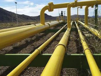 canos para gasoductos: el fin del impuesto rocca y el paso del zoologico a la selva canos para gasoductos: el fin del impuesto rocca y el paso del zoologico a la selva