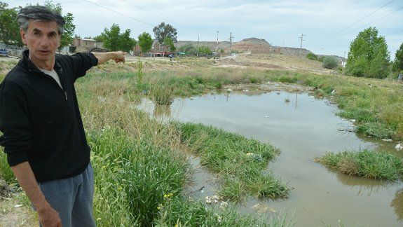 Las ratas invaden Gran Neuquén y nadie hace nada