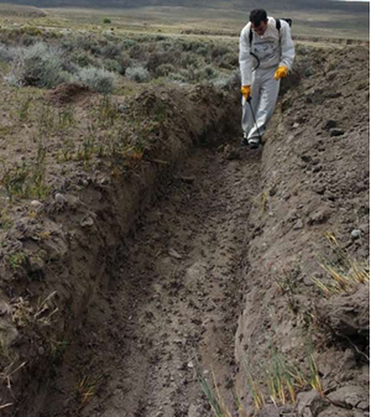  Zanja (control mecánico) para impedir el ingreso de las tucuras a las zonas urbanas y pulverización en Cushamen (Fuente: Senasa).