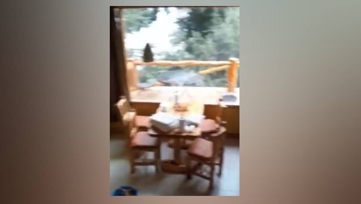 ¿Un duende en Villa Pehuenia? El sorpresivo registro de dos turistas