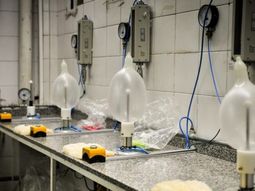 La compañía, que llegó a contar con 355 empleados directos, hoy funciona con apenas 135 trabajadores. La compañía, que llegó a contar con 355 empleados directos, hoy funciona con apenas 135 trabajadores.