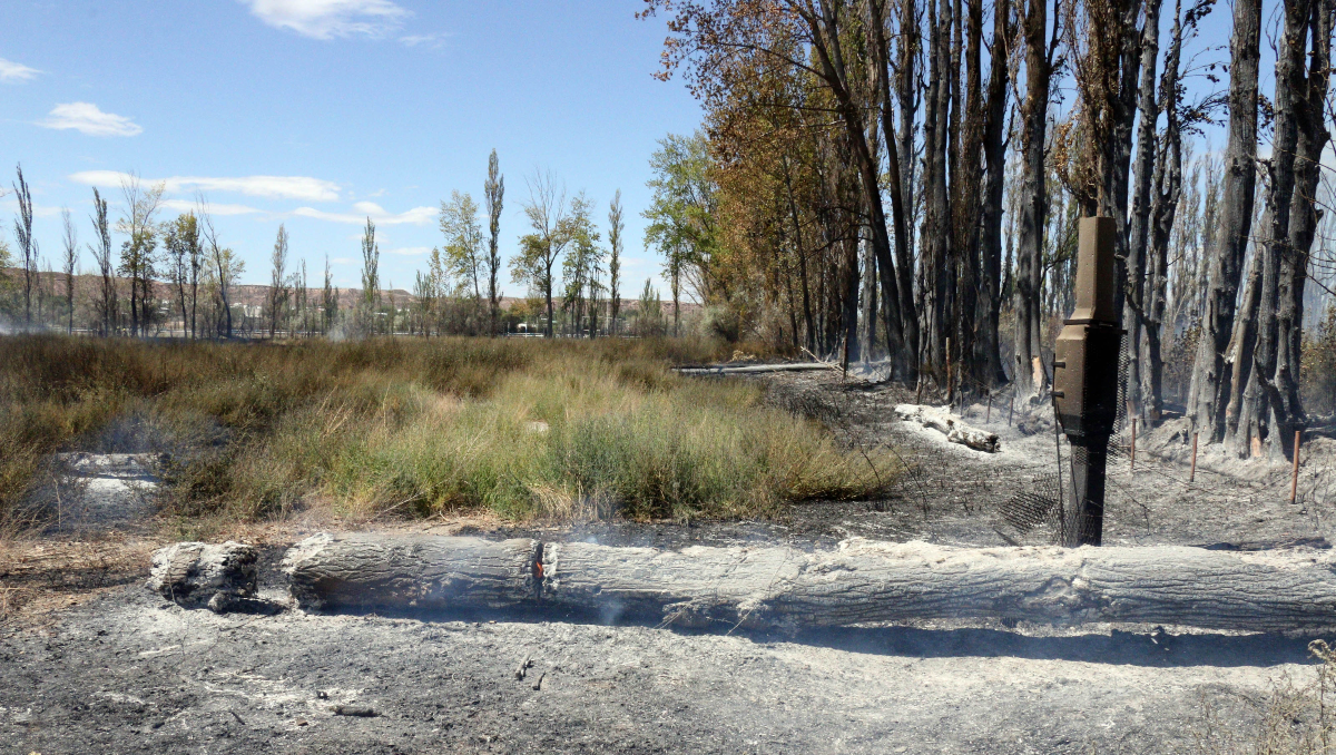 El incendio del Hipódromo afectó cinco chacras pero no llegó a los pozos petroleros