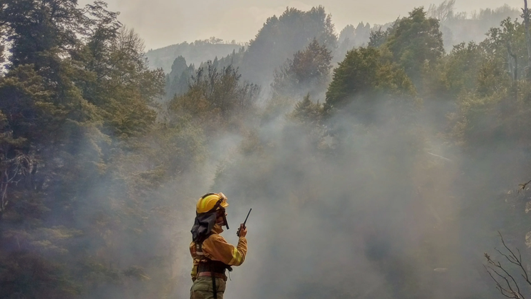 La lucha de los brigadistas no se detiene