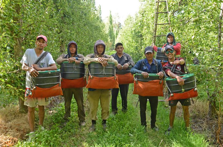 Un grupo de jóvenes de no más de 30 años que vienen de diferentes provincias. Un grupo de jóvenes de no más de 30 años que vienen de diferentes provincias.