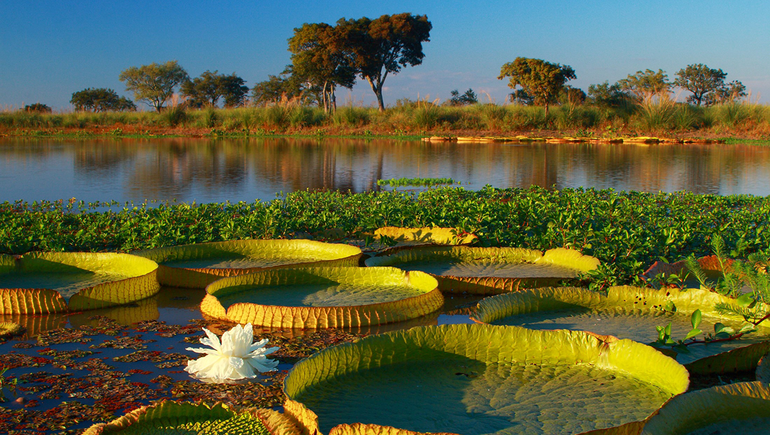 Se crearán en el país otros cuatro parques nacionales