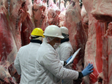 La caída de faena a nivel regional va en línea con lo que ocurre en todo el país.