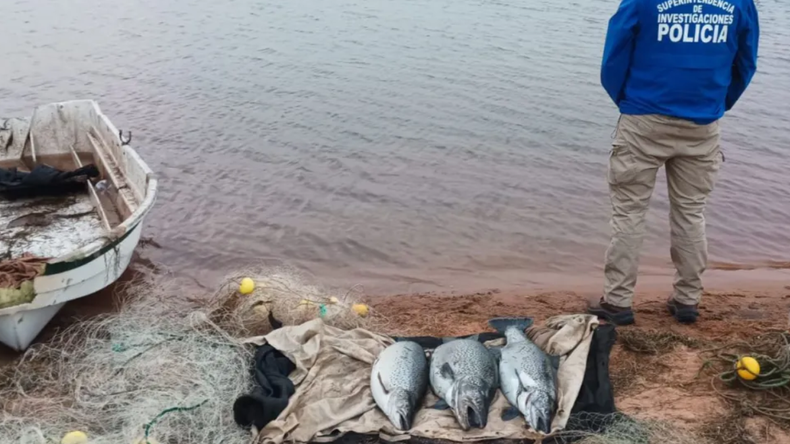 El secuestro de elementos que se realizó Policía y Fauna en cercanías al lago Mari Menuco