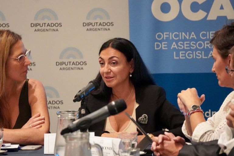 La ministra de Salud, Andrea Peve, destacó que Neuquén es la única provincia argentina que cuenta con una ley, sancionada y reglamentada en 2020, que garantiza el acceso de la población a la prevención, diagnóstico, tratamiento, rehabilitación y seguimiento del ACV