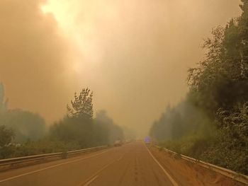 javier milei y manuel adorni se refirieron a los incendios en la patagonia: ¿que dijeron? javier milei y manuel adorni se refirieron a los incendios en la patagonia: ¿que dijeron?
