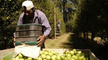 El BICE da créditos a Pymes locales El BICE da créditos a Pymes locales