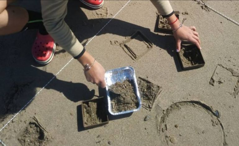 El relevamiento de la presencia de microplásticos se realizó en base a muestras de agua y de arena en 12 estaciones de observación. El relevamiento de la presencia de microplásticos se realizó en base a muestras de agua y de arena en 12 estaciones de observación.