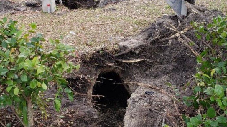 Tapaban un bache pero era un túnel que iba al banco