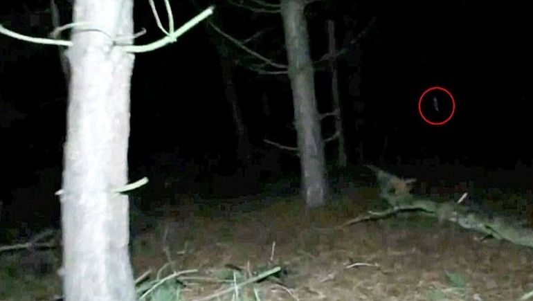 Capturan en video al famoso fantasma de una niña
