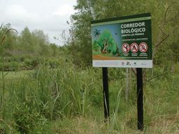 El concepto clave detrás de esta iniciativa es la biodiversidad funcional. El concepto clave detrás de esta iniciativa es la biodiversidad funcional.