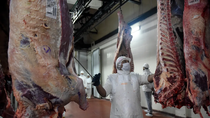 El atraso cambiario comienza a impactar sobre las exportaciones de carne argentina.