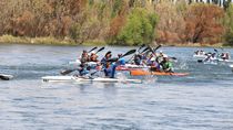 La Regata del Río Negro largó desde Neuquén.