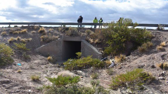 Un criancero encontró de casualidad el trágico accidente en Ruta 40