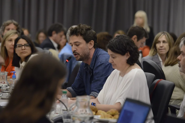 Santiago Mitre, durante la exposición por la Ley Ómnibus. Santiago Mitre, durante la exposición por la Ley Ómnibus.
