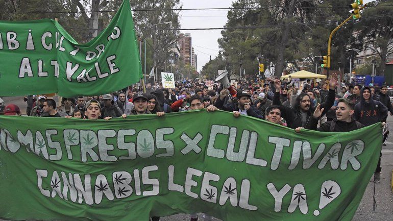 Marcharon por la despenalización  de la marihuana