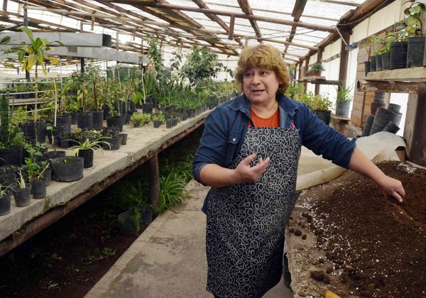 El lugar donde trabajan los artesanos de la naturaleza