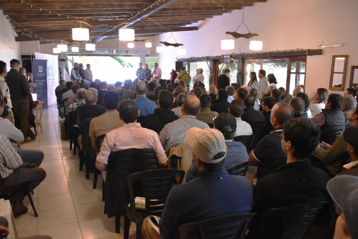 La era del dato: Con monitoreo satelital y gestión desde el celular, la Norpatagonia alcanza rendimientos de maíz que desafían los promedios históricos.