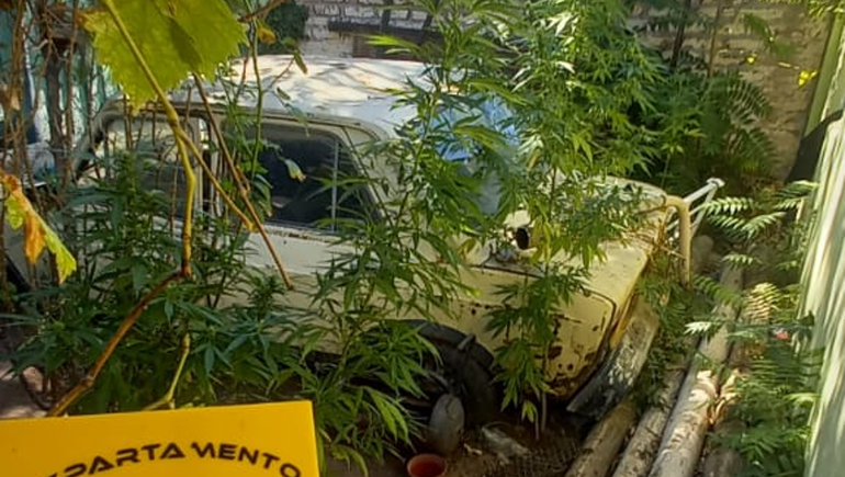 Centenario: Villa Obrera es un caldo de cultivo de una disputa narco